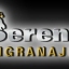 Serena Engranajes S.R.L.