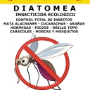 AFICHE YEAR MOSQUITO 1